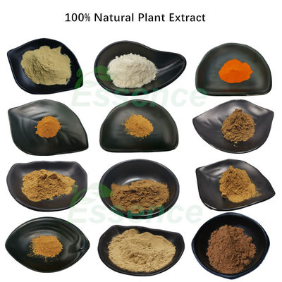 16 Years Experience Manufacturer Supply Pure Herbal Plant Extract Powder With Best Price
