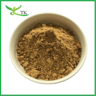 Food Grade Natural Green Lipped Mussel Powder Green Lipped Mussel Extract Powder