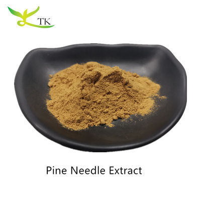 Wholesale Natural Plant Extract Powder Pine Needle Extract Powder Food Grade