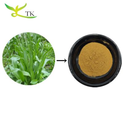 Natural Plant Extract Asiatic Plantain Leaf Extract Powder Plantago Lanceolata Extract