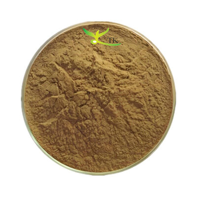 Food Grade Natural Ecklonia Cava Extract Ecklonia Cava Powder for Supplement