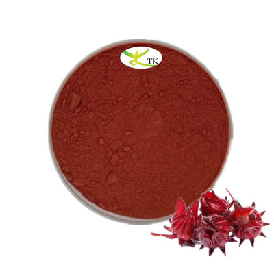 Food Grade Pure Natural Hibiscus Flower Extract Hibiscus Extract Water Soluble