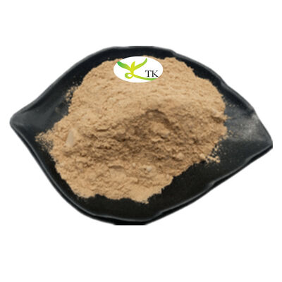 Wholesale Price Food Grade Fujian Anji White Tea Powder Decaffinated White Tea Powder