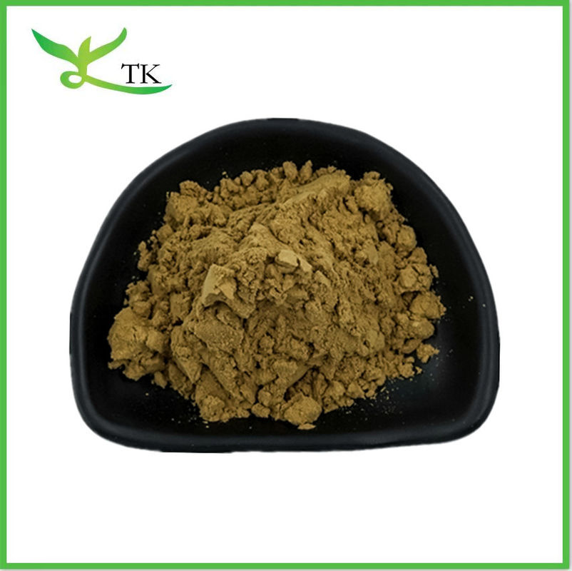 100% Natural 100:1 200:1 Eurycoma Longifolia Extract Powder Tongkat Ali Root Extract