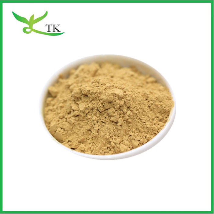 Water Soluble Seabuckthorn Fruit Powder Sea Buckthorn Fruit Powder Food Grade