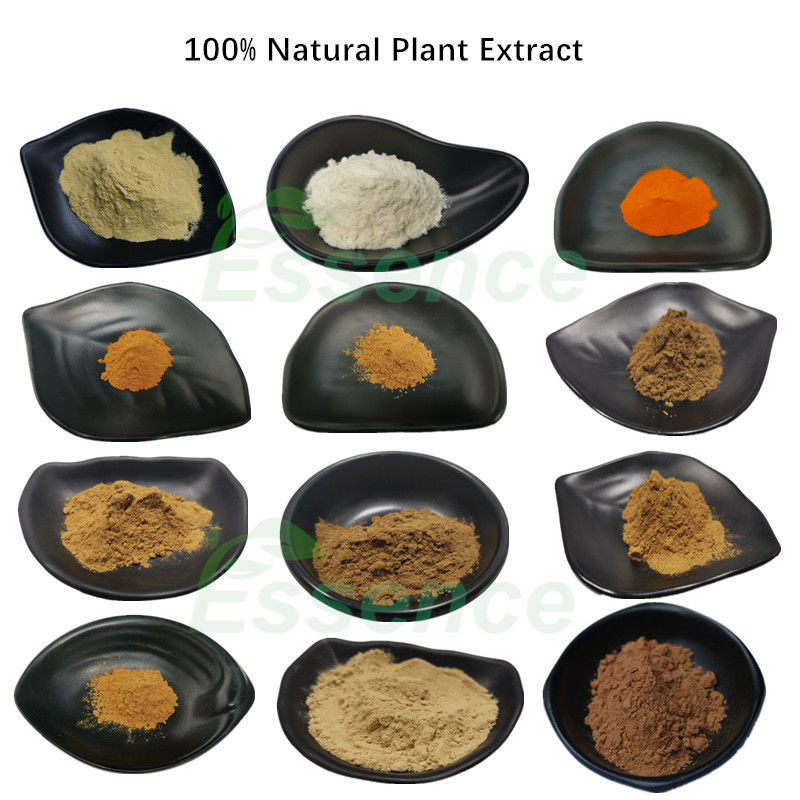 16 Years Experience Manufacturer Supply Pure Herbal Plant Extract Powder With Best Price