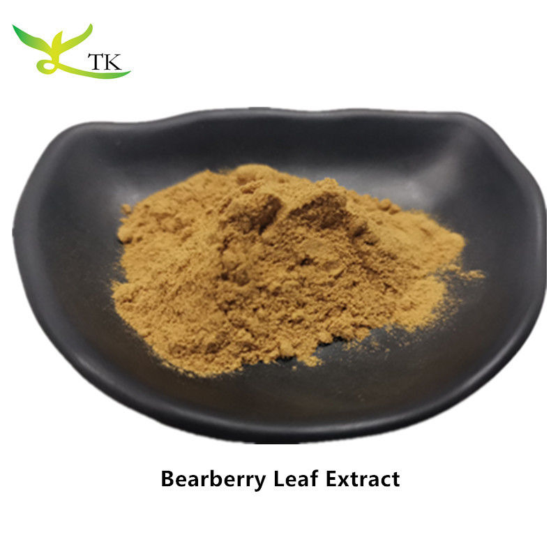Natural Plant Extract Bearberry Leaf Extract Arctostaphylos Uva Ursi Leaf Extract Powder