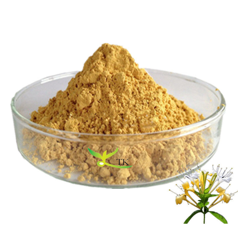 Honeysuckle Flower Extract Powder 10:1 20:1 5% Chlorogenic Acid