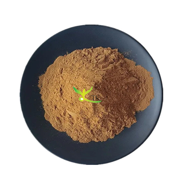 Natural Food Grade Clove Powder 10:1 Clove Extract Powder