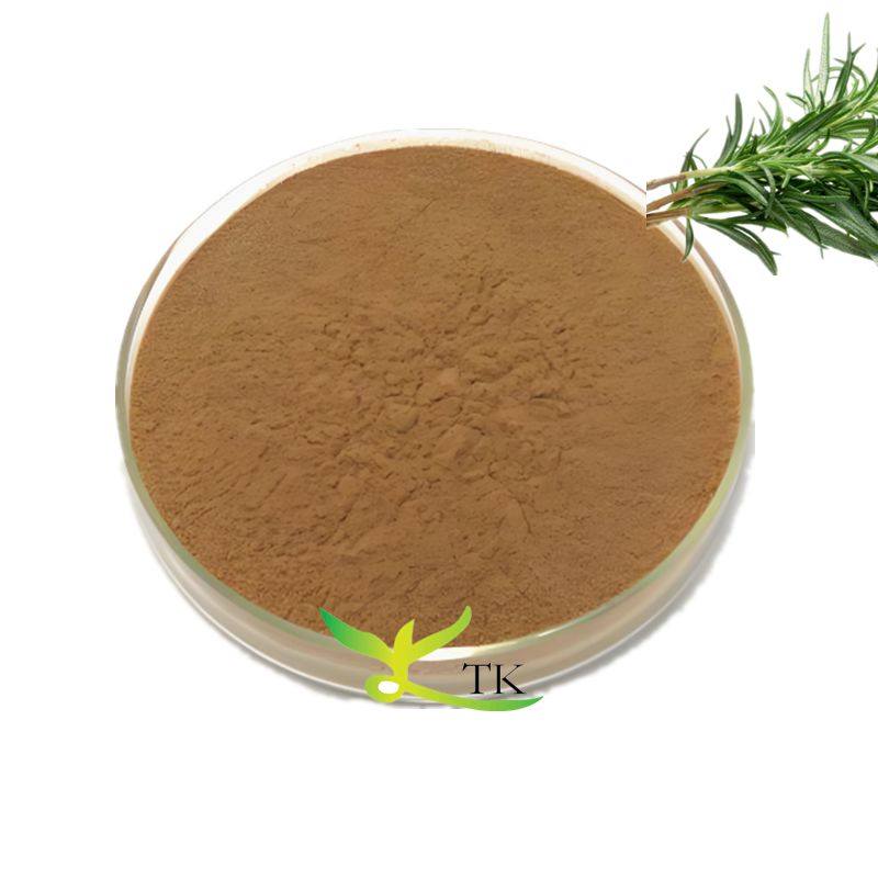 Natrual Plant Extract 10% 50% Rosemary Leaf Extract Powder Ursolic Acid Rosemary Leaves Extract