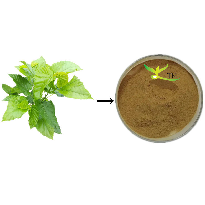 Pure Natural Mulberry Leaf Extract Powder 1% 1-DNJ White Mulberry Leaf Extract 10:1