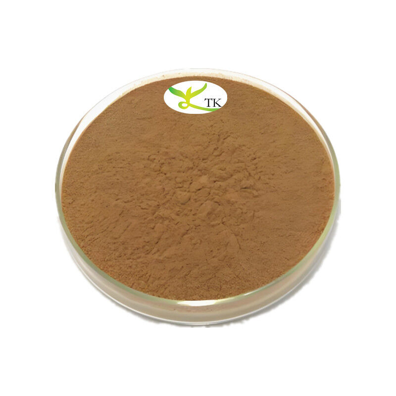 Natural Plant Extract Powder Selaginella Pulvinata Extract Powder 10:1