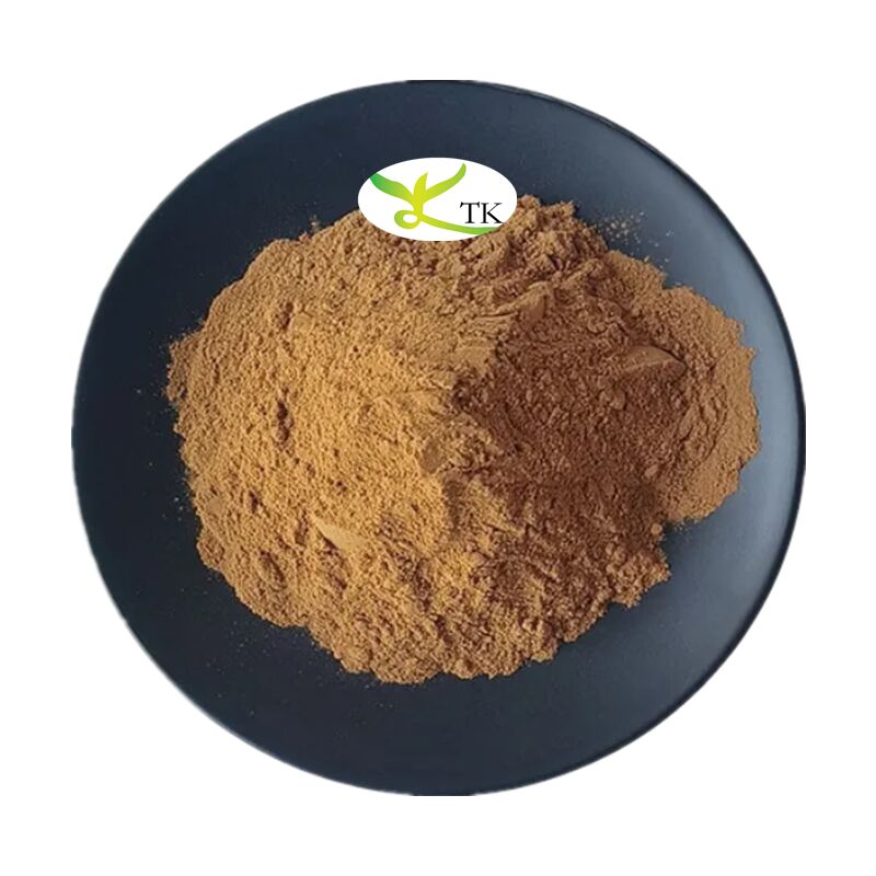 Natural Plant Extract Powder Danshen Extract Salvia Miltiorrhiza Extract