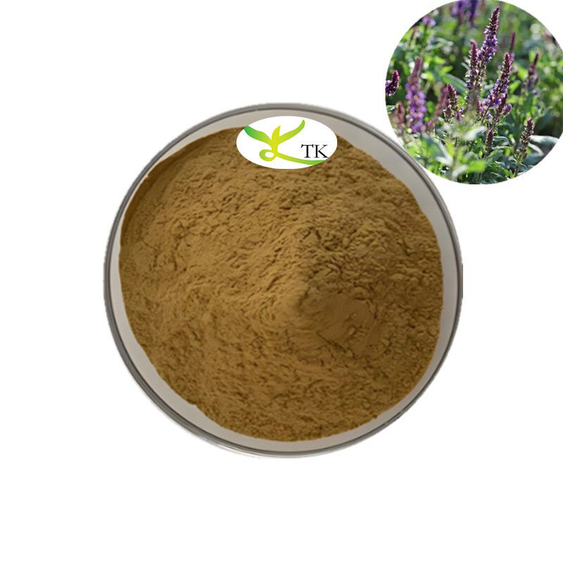 Natrual Plant Extract Antioxidant Rosemary Leaf Extract Powder Carnosic Acid 5%~98% CAS 3650-09-7