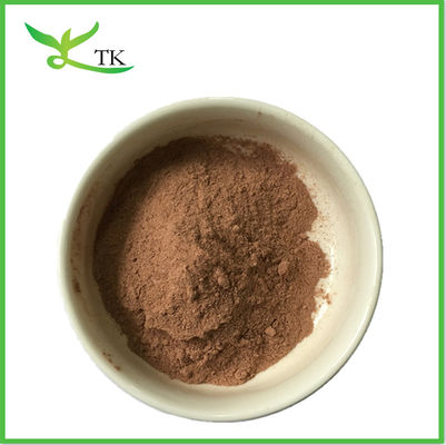 Ekstrakt z grzybów Ganoderma lucidum reishi w proszku