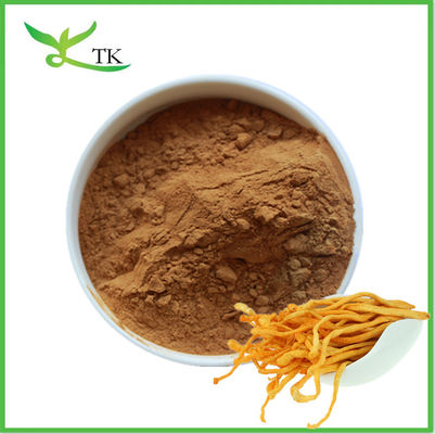 Naturalny ekstrakt z grzybów w proszku Cordyceps Militaris Extract w proszku Polizacharyd Cordycepin