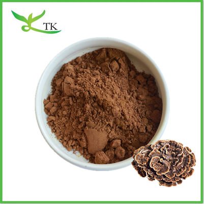 Czyste naturalne Coriolus Versicolor Powder Turkey Tail Mushroom Powder Capsules Supplement