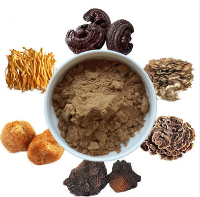 Mieszanka 6 w 1 Ekstrakt z grzybów Proszek Cordyceps Ganoderma Reishi Chaga Turkey Tail Maitake Lions Mane Proszek grzybów