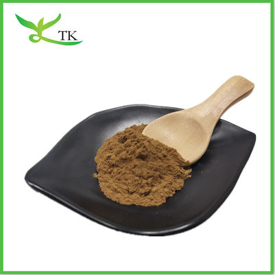 Naturalny grzyb Lingzhi Shell Złamany Ganoderma Lucidum Reishi Spor Powód