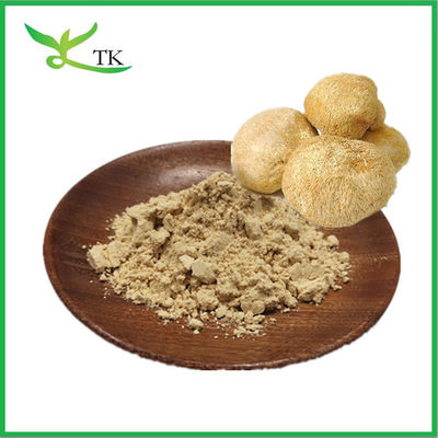 Suplement do opieki zdrowotnej Czyste naturalne Hericium Erinaceus Powder Lion' s Mane Mushroom Powder