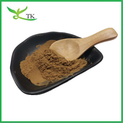 Naturalny ekstrakt roślinny Coleus Forskohlii Extract Root Powder 20% 98% Forskolinę