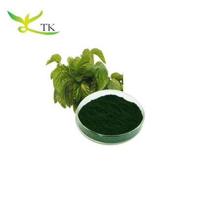 Najlepsza cena hurtowa Pigment Powder Chlorophyll Sodium Copper Chlorophyllin Bulk