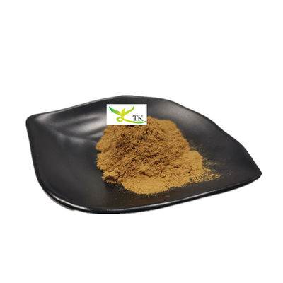 Sprzedaż hurtowa ekstraktu z naturalnej yucca schidigera w proszku Saponin 60% 80% ekstrakt z yucca