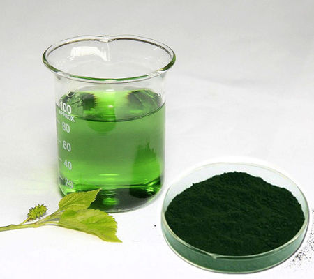 Producent Ceny hurtowe Ekstrakt z naturalnej morwy Czyste chlorofil w proszku
