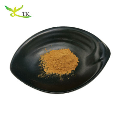Naturalny suplement z grzybów Wyciąg z grzybów Tuckahoe Wyciąg z grzybów Poria Cocos Wyciąg z grzybów Poria Cocos Powder Polisaccharide