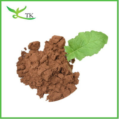Lignosus Rhinocerus Beta Glucans Polisacharydy Tygrysie mleko grzyby w proszku