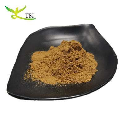 Wypłata hurtowa Ekstrakt z yerba mate Ekstrakt z herbaty paragwajskiej naturalnej