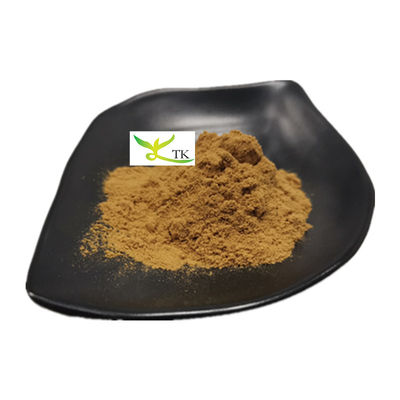 Ekstrakt z 100% naturalnego grzyba Osyter Powder Pleurotus Ostreatus Extract