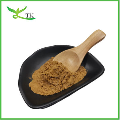 Cistanche Tubulosa Extract Powder 50% Echinocoside + 10% Verbascoside