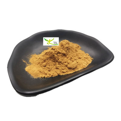 Naturalny ekstrakt z Astragalus Membranaceus Astragaloside IV Cycloastragenol w proszku