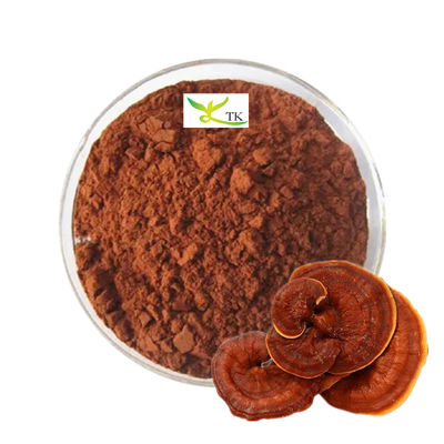 Ceny hurtowe hurtowe 100% naturalny proszek z zarodnikami grzybów Ganoderma Lucidum Reishi