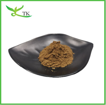 Suplement Cistanche Tubulosa Extract Powder 50% Echinacoside + 10% Verbascoside