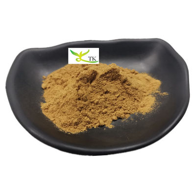 Ceny hurtowe Natural Nasturtium Officinale Kresa ekstrakt 10:1 Kresa proszek