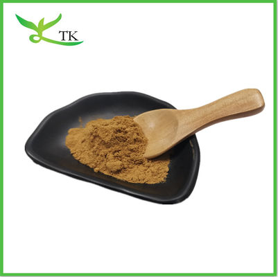 Cordyceps Sinensis 40% Polisacharyd Kwas Cordycepic Cordyceps Sinensis Ekstrakt