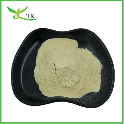 Dostarczanie suplementów zdrowotnych Nieem Leaf Powder Nieem Leaf Tea Powder Nieem Powder