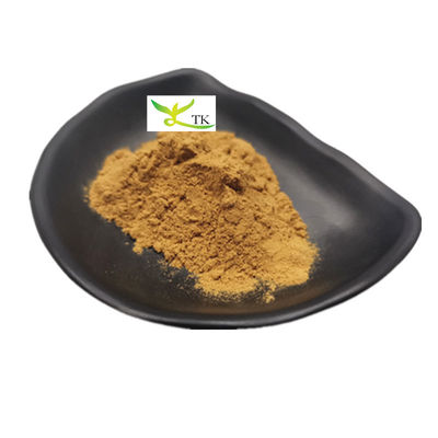 Naturalny suplement ziołowy Panax Quinquefolius Extract Powder 10:1 20:1 American Ginseng Extract Powder