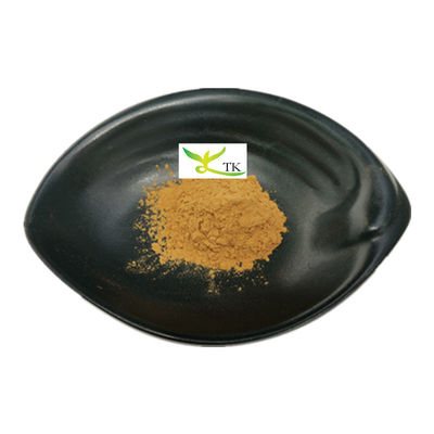 Ceny hurtowe Natural Portulaca Oleracea Purslane Herbs Extract Powder Purslane Extract 10:1