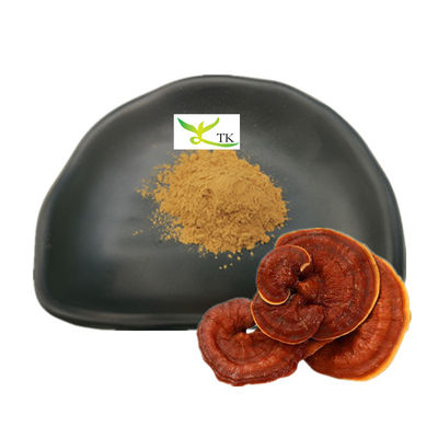 Sprzedaż hurtowa Ganoderma Lucidum Extract Reishi Mushroom Extract Powder Polisacharydy 30%