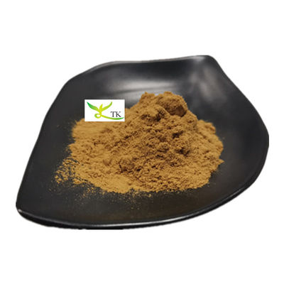 Naturalny YU XING CAO Houttuynia Cordata Extract Powder Heartleaf Houttuynia Herb Extract P.E