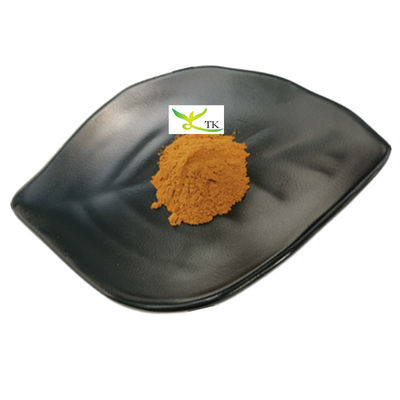 Ceny hurtowe 100% naturalny ekstrakt z Boletus edulis Penny Bun Extract Powder