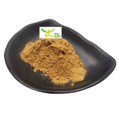 Cena hurtowa 100% czystego naturalnego ekstraktu korzenia lukrecji w proszku