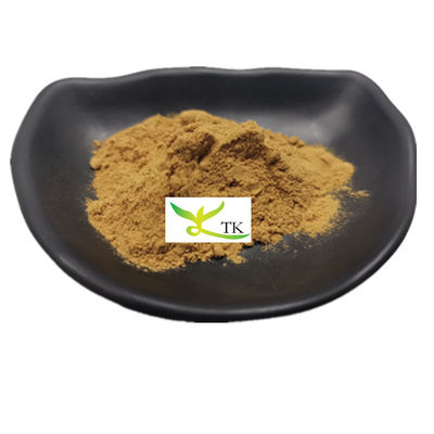 100% Ekstrakt z grzybów Willow Bracket Natural Powder Polisacharydy Phellinus Igniarius