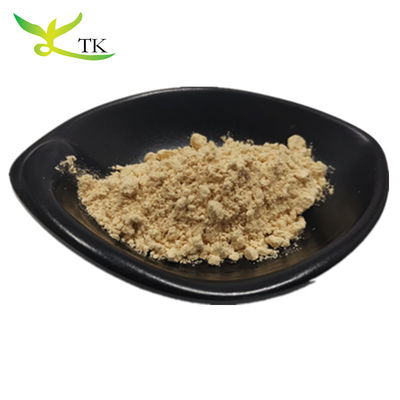 Najwyższej jakości 100% naturalny ekstrakt z korzenia Panax Ginseng Ginsenosides Powder 10%~80%