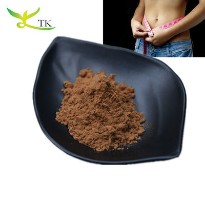 hurtowy 100% naturalny proszek na odchudzanie Lotus Leaf Extract Powder 10:1