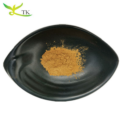 Ceny hurtowe 100% Ekstrakt naturalny z koptysa chinensis 10:1 20:1 Na zapas