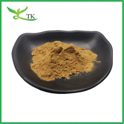Ceny hurtowe Ekstrakt z korzenia burki Arctiin Powder 10% 30% Suplementy medyczne